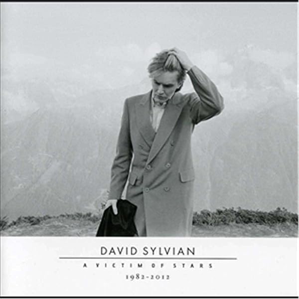 Classic Albums: David Sylvian: Amazon.es: CD y vinilos}